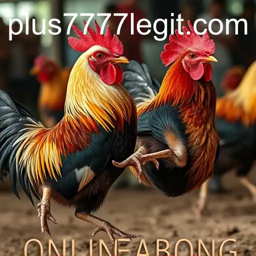 Exploring the World of Online Sabong: Is Plus7777 Legit?